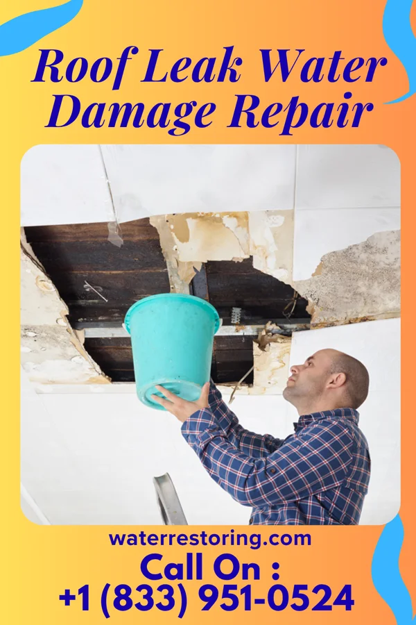 Roof Leak Water Damage Repair in Justin, TX